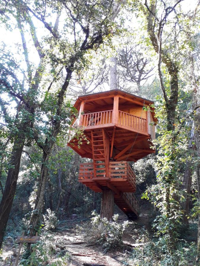 Cabanes Dosrius Canyamás エクステリア 写真
